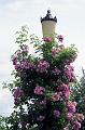 7. Lamp post